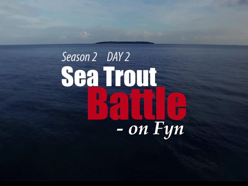 Sea Trout Battle on Fyn 2.2