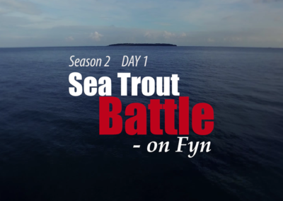 Sea Trout Battle on Fyn 2.1
